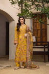 Noor-e-Nazakat