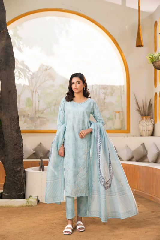 Neelpari - 3 PC Printed Dress
